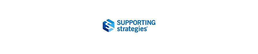 Bronzer Sponsor: Supporting Strategies 