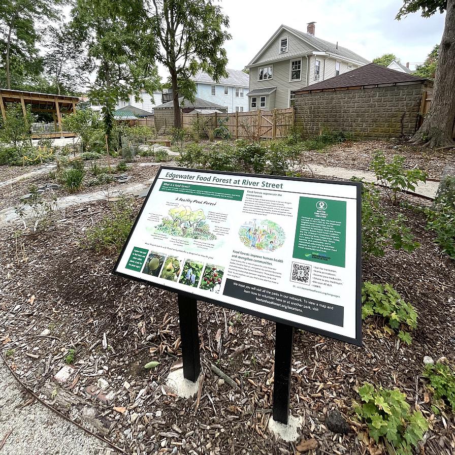 Edgewater Food Forest Mattapan